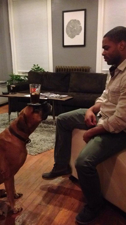 Chú chó thông minh.