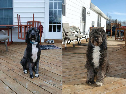 "Ngày ấy, bây giờ".