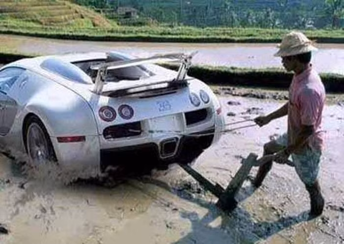 "Nhà có điều kiện".