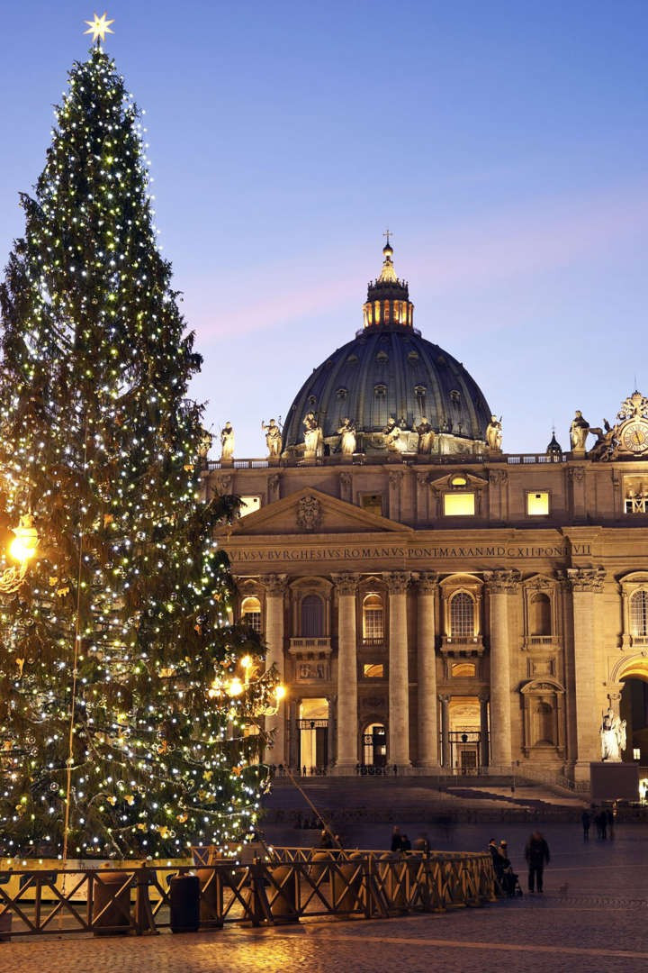 Cây thông cao 30 mét tại Quảng trường Thánh Peter ở Vatican.