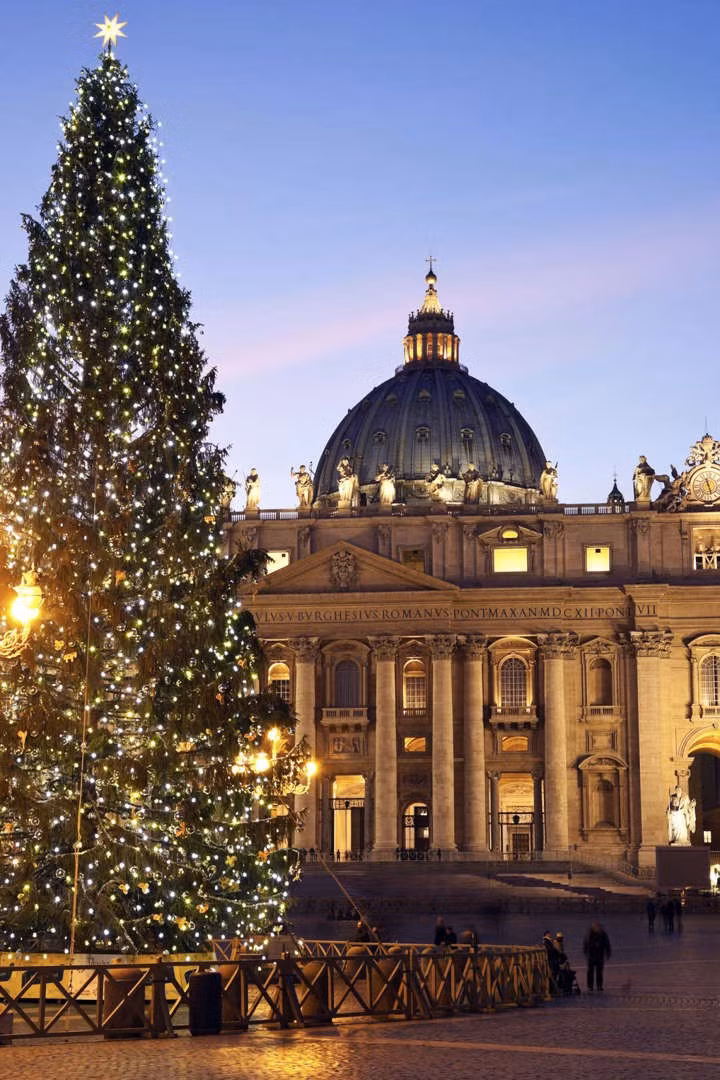 Cây thông cao 30 mét tại Quảng trường Thánh Peter ở Vatican.