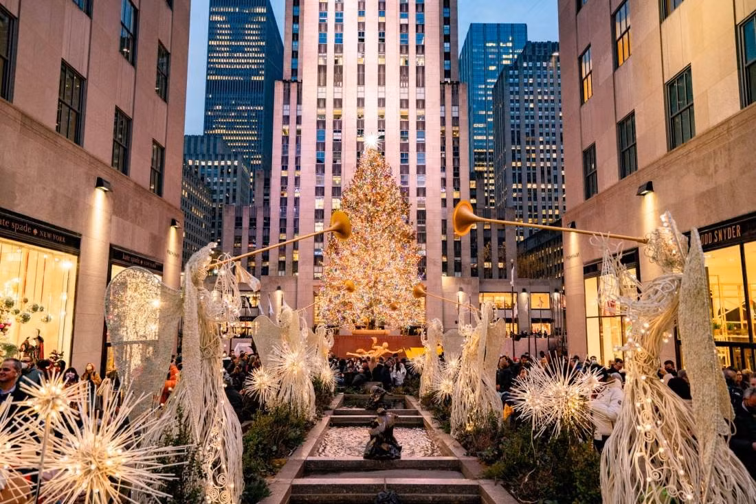 Chiem nguong nhung cay thong Noel an tuong nhat hanh tinh