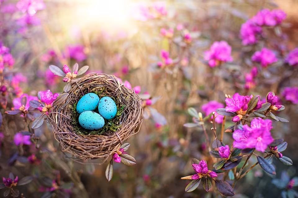 Năm Quý Mão 2023 tháng Âm lịch nào sinh con tốt nhất? Nam Quy Mao 2023 thang Am lich nao sinh con tot nhat?