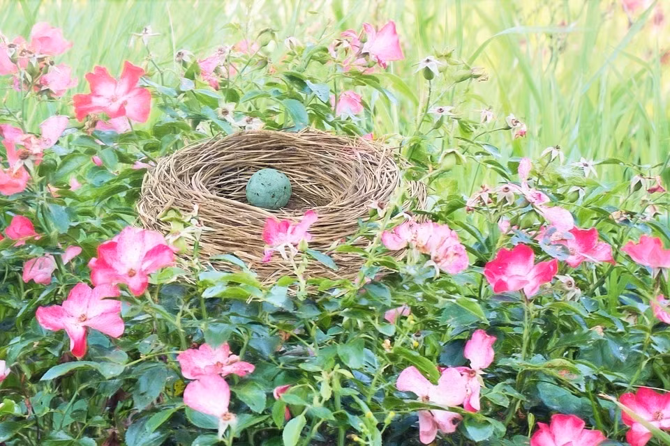 Nam Quy Mao 2023 thang Am lich nao sinh con tot nhat?-Hinh-3