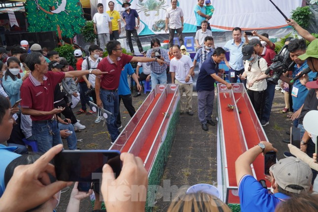 Các cua thủ tranh tài quyết liệt.