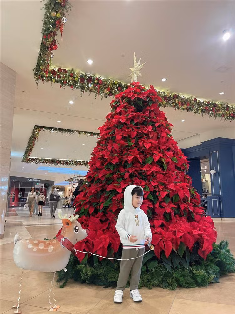 Quý tử nhà Đàm Vĩnh Hưng cũng có bức ảnh ngập tràn không khí Giáng sinh.