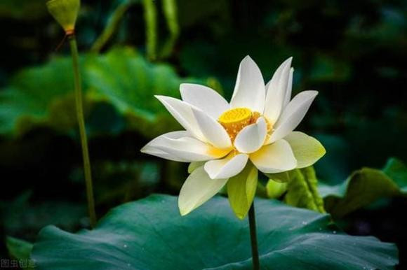 Nguoi phu nu khi chat thuc su co hai tu nay tren co the-Hinh-4