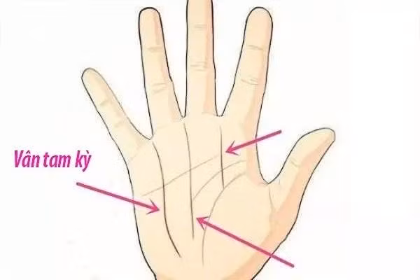 Duong chi tay doan van menh: 3 duong phu quy, 1 duong ngheo kho-Hinh-3