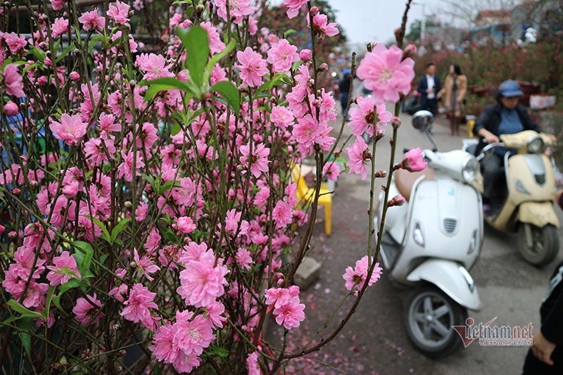 Nam dau an Tet nha chong, me noi mot cau khien toi nho mai