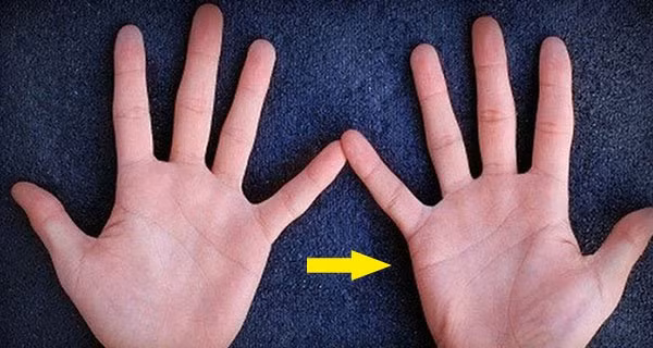 5 điểm chỉ có trên bàn tay tán lộc: Trẻ lận đận, về già chẳng đủ ăn 5 diem chi co tren ban tay tan loc: Tre lan dan, ve gia chang du an