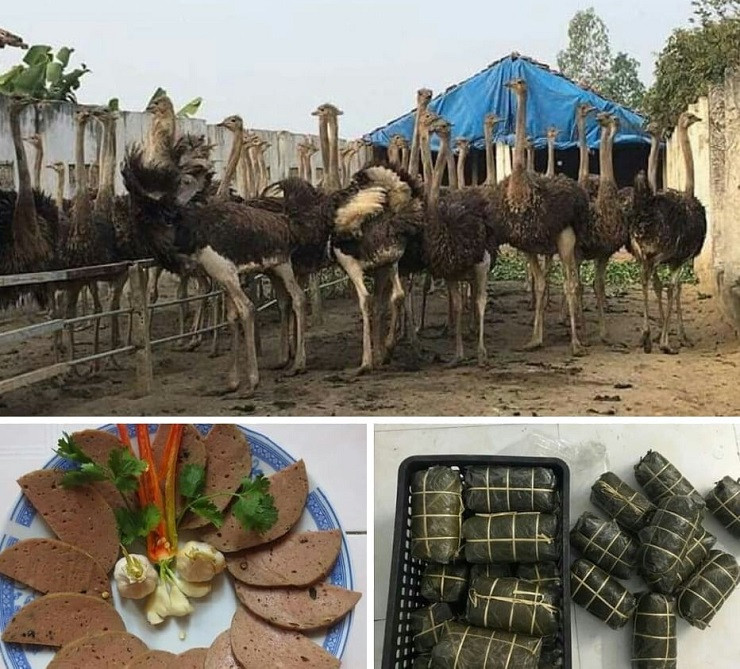 Đặc sản đắt đỏ ngày Tết, giá tiền triệu vẫn được săn lùng ráo riết - Hình 6 Dac san dat do ngay Tet, gia tien trieu van duoc san lung rao riet-Hinh-6