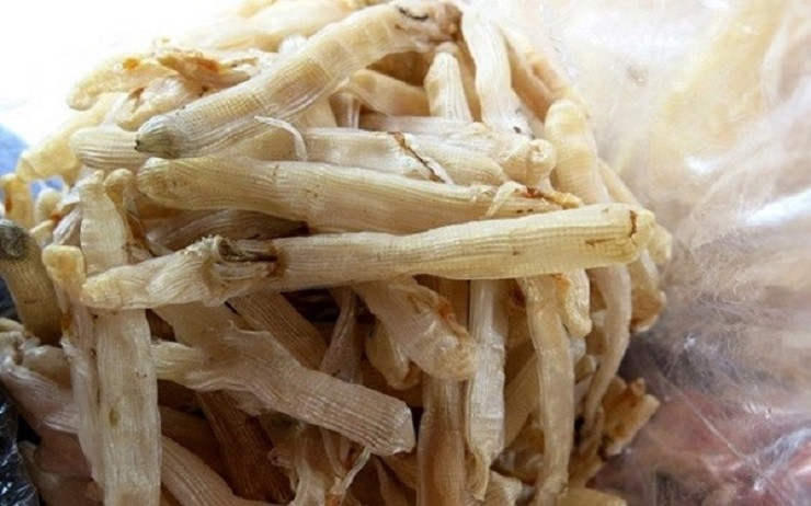 Đặc sản đắt đỏ ngày Tết, giá tiền triệu vẫn được săn lùng ráo riết - Hình 5 Dac san dat do ngay Tet, gia tien trieu van duoc san lung rao riet-Hinh-5