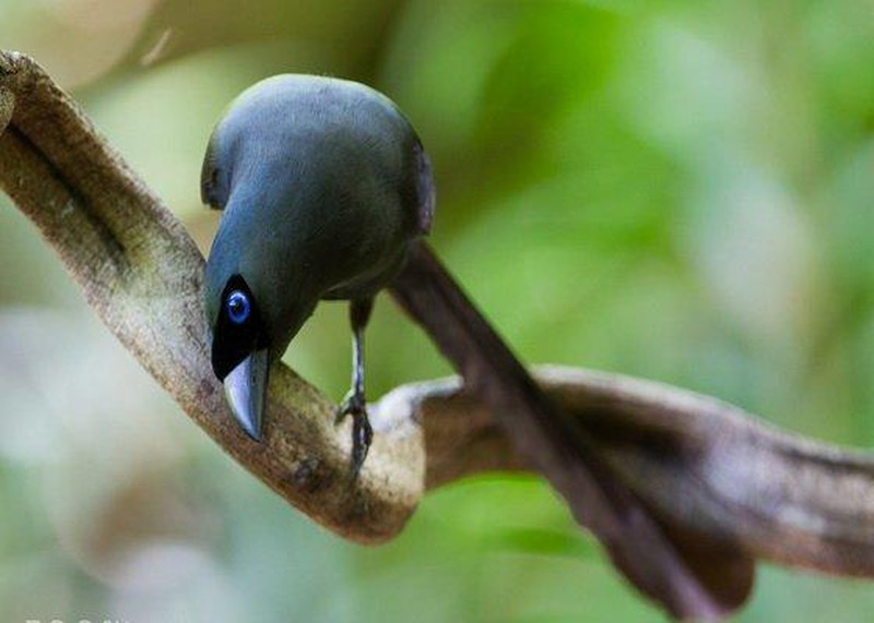 4 diem lanh den nha, hua hen nam moi gia chu tai loc du da-Hinh-2