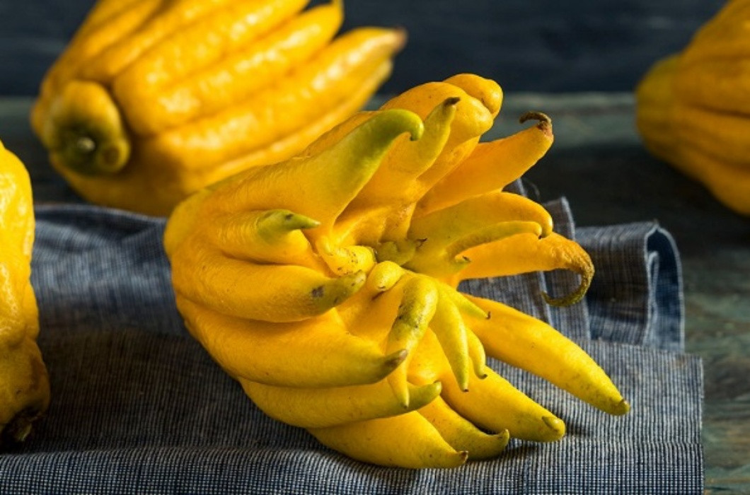 Tùy vào hình dáng vỏ, số ngón cũng như độ đều của các ngón mà phật thủ sẽ có mức giá khác nhau. Từ 100.000 - 500.000 đồng đều có, thậm chí nhiều loại có giá lên đến cả triệu bạc.