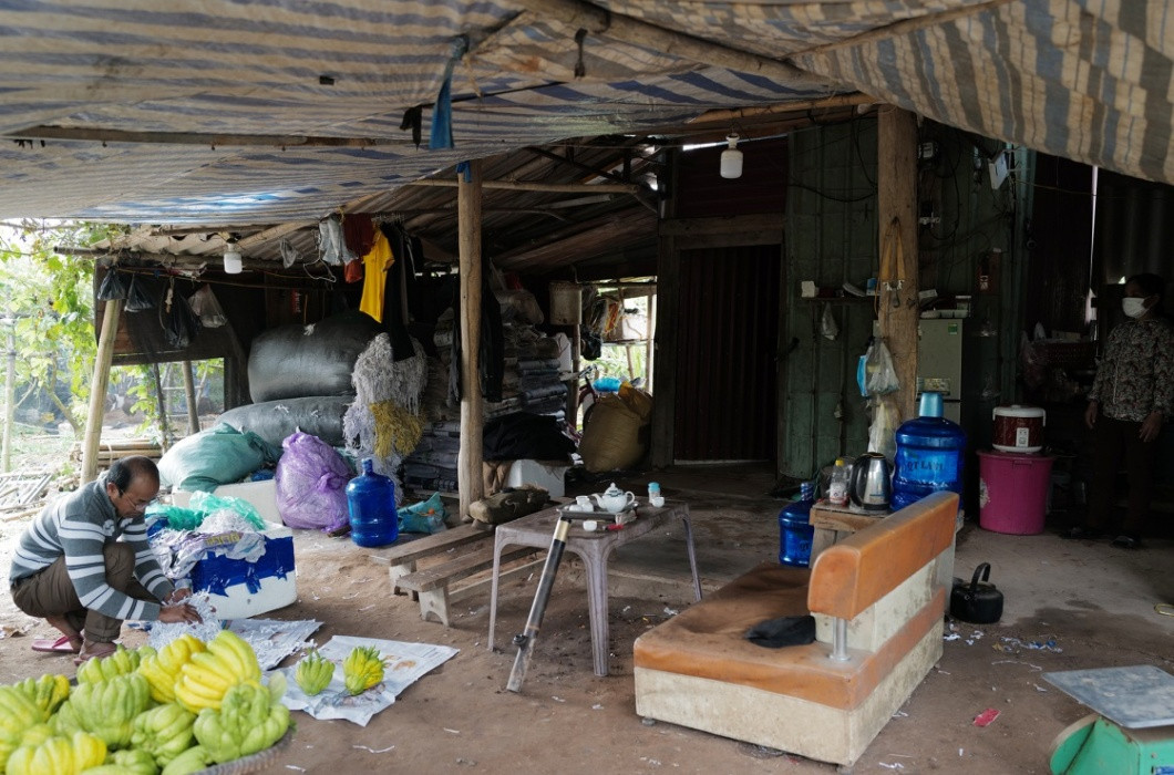 Nhận ra giá trị kinh tế to lớn mà loại quả này mang lại, không ít người dân Hà Nội cũng "nối bước" kinh doanh loại quả đặc biệt này để kiếm thêm thu nhập ngày Tết.