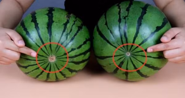 Mua dua hau: Co 5 dau hieu nay, hay lay ngay vi qua chin gia, mong vo, sieu ngot