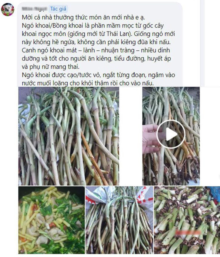 Trên chợ mạng, ngó khoai được làm sạch sẽ, đóng thành túi zip bán với giá 100.000 đồng/kg