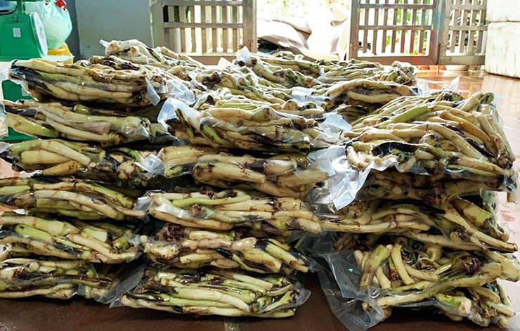 Giờ đây, ngó khoai đã lên đời thành đặc sản lạ ở thành phố