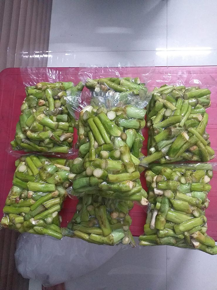 Vào mùa mưa (từ tháng 7) bắt đầu có ngó khoai, người dân tranh thủ hái bán kiếm thêm thu nhập