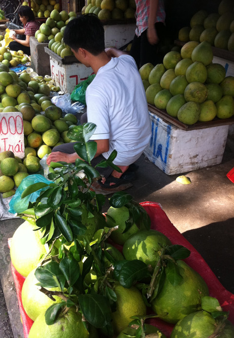 Cùng chất lượng nhưng quả có núm thì bán giá cao hơn.