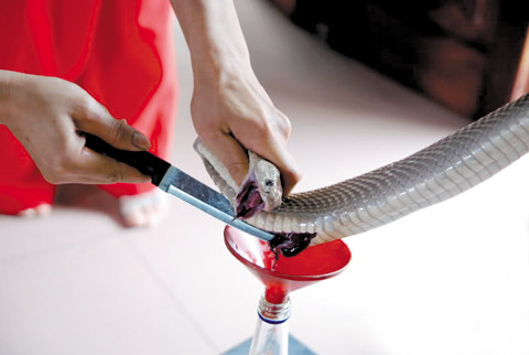 Người ta chủ yếu dùng rắn để bồi bổ hơn là chữa bệnh.