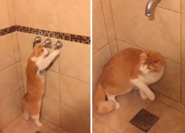 “Nếu chúng tôi quên đóng của phòng tắm, boss sẽ vào vặn vòi tắm”, một con sen chia sẻ.