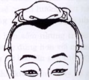 Vầng trán như hình trên tạo thành hình chữ M. Đây được gọi là vầng trán của nghệ sĩ. Những người có trán này có khả năng sáng tạo cao, vì thế, họ có thể thành công trong nhiều ngành nghề. Tuy nhiên, họ hơi bảo thủ, cố chấp vì thế không phải lúc nào họ cũng đạt được thành công. Nếu trán chữ M kết hợp thêm phần xương trán gồ lên nổi rõ thì sẽ đạt thành tựu lớn trong sự nghiệp, ngược lại thì mọi việc chỉ đạt ở mức độ bình thường.