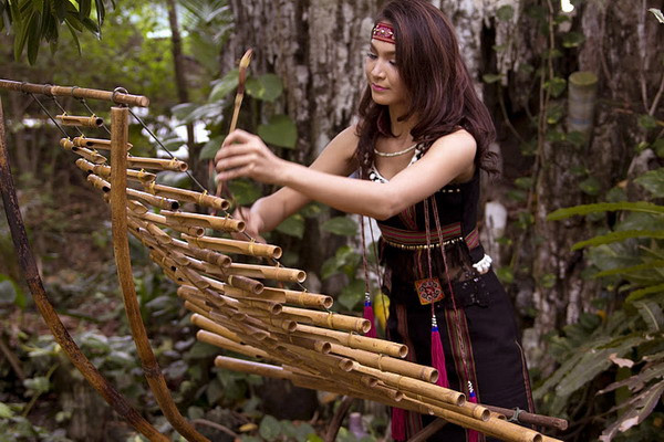 Theo truyền thống, đàn T’rưng chỉ được chơi trên nương rẫy, kiêng đánh trong nhà và trong làng. Người đánh đàn dùng dùi bằng tre hoặc gỗ gõ vào ống tạo ra âm thanh. Đặc trưng âm sắc của đàn T’rưng là tạo ra cảm giác như tiếng suối róc rách, tiếng thác đổ, tiếng xào xạc của rừng tre khi gió thổi. Bởi thế mỗi khi nghe tiếng đàn T’rưng, người nghe nghĩ ngay đến đại ngàn Tây Nguyên. Ảnh: Báo Gia Lai.