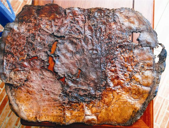 Ảnh thu nhỏ tấm bản đồ cổ khắc trên da thú.