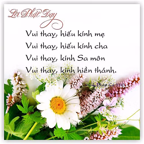 "Pháp" có nghĩa là đạo lý, chân lý, giáo lý. "Cú" là lời nói, câu kệ.