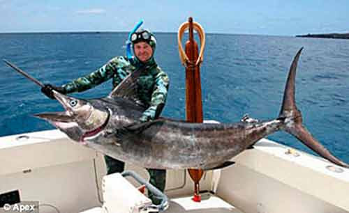 Một bác sĩ người Anh câu được chú cá cờ nặng 136 kg trong chuyến đi đánh bắt cá ngoài khơi đảo Ascension ở Nam Đại Tây Dương.