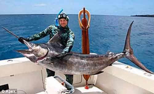 Một bác sĩ người Anh câu được chú cá cờ nặng 136 kg trong chuyến đi đánh bắt cá ngoài khơi đảo Ascension ở Nam Đại Tây Dương.