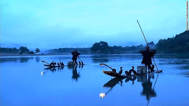 Chim cốc và những người bắt cá trên sông Nanxi ở Chiết Giang, Trung Quốc.