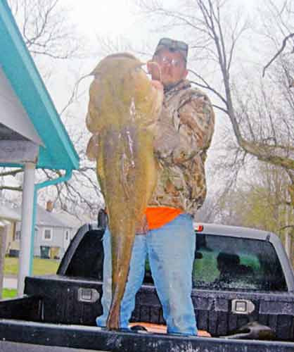 Chú cá da trơn nặng 24,5 kg do cần thủ Daniel R. Kruse câu được ở Lyons, Kansas, Mỹ.