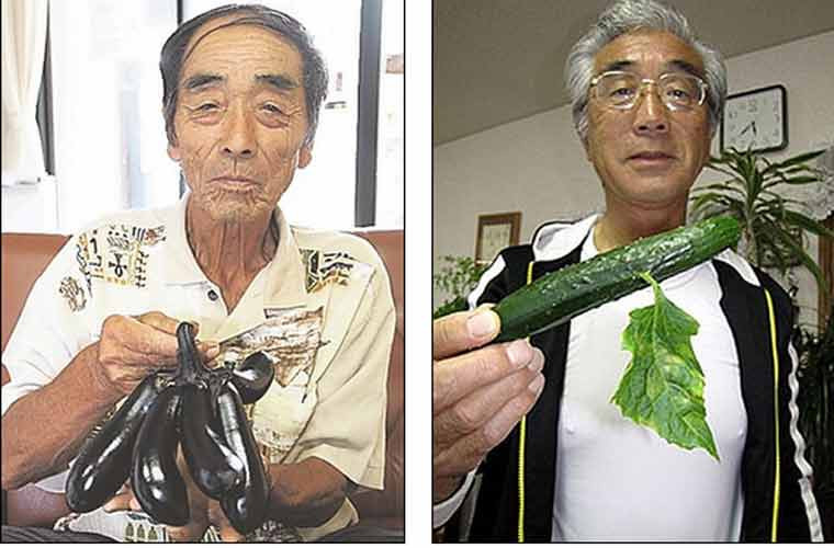 Cà tím mọc nhiều quả dính liền, dưa chuột mọc lá trên quả.