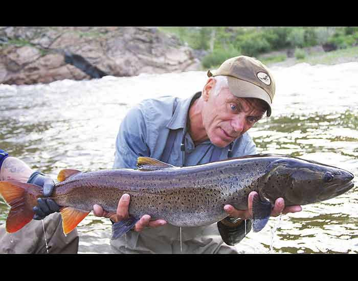 Taimen - loài lớn nhất thuộc họ cá hồi được bắt trên sông Delger Muron ở Mông Cổ.