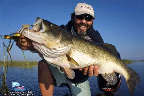 Anh Emil Terry câu được con cá ngừ khổng lồ (nặng khoảng 78 kg, dài 188 cm) khi đang đi câu cá tại quần đảo Cayman.