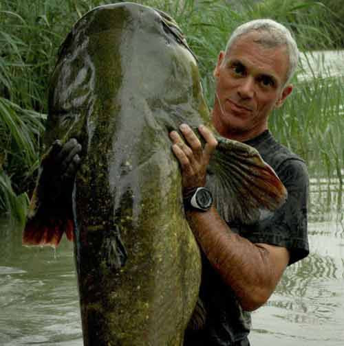 Một con cá trê khổng lồ bắt được ở Tây Ban Nha.