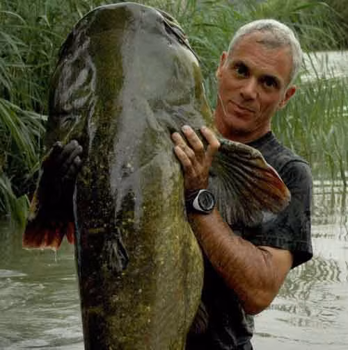 Một con cá trê khổng lồ bắt được ở Tây Ban Nha.