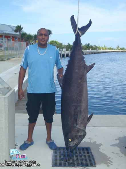 Con cá măng dài 137 cm được câu ở vùng biển St. Lawrence.