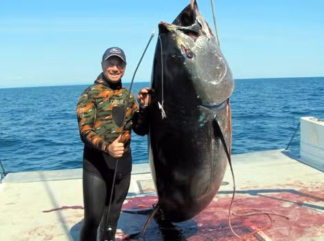 Con cá ngừ đáng nặng hơn 550 kg được câu bởi cần thủ Philipe Virgili ngoài khơi bờ biển phía Bắc Đại Tây Dương.