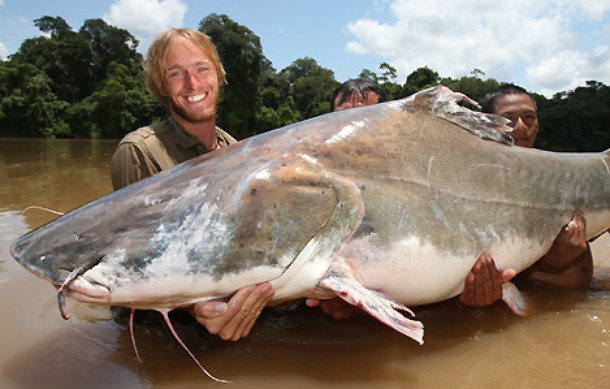 Con cá da trơn khổng lồ nặng 215 kg bị bắt trên sông Amazon.