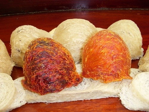 Tổ yến được bán với giá 1.000-1.500 USD/kg bán buôn và khoảng 2.500 USD/kg bán lẻ.