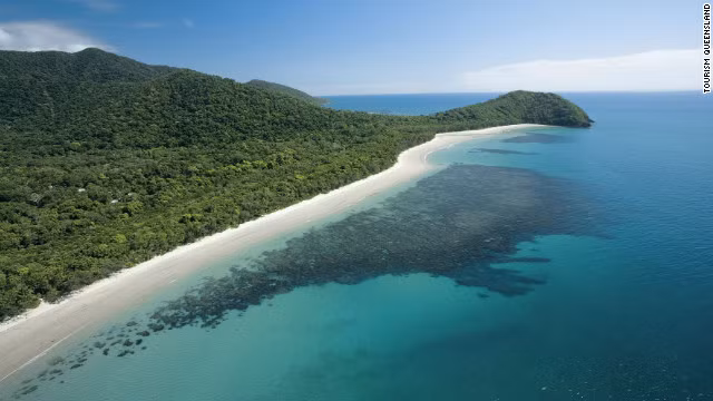 Dải bờ biển xanh tươi tốt của Cape Tribulation, tiểu bang Queensland, Australia.