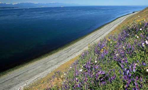 Bãi biển tiểu bang Will Rogers, Los Angeles.