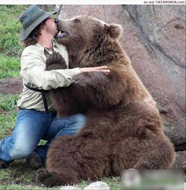 Can đảm hôn gấu.