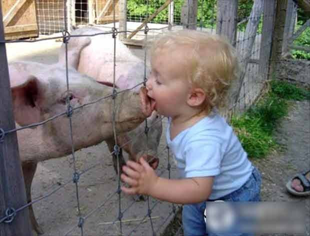 Em bé âu yếm lợn.