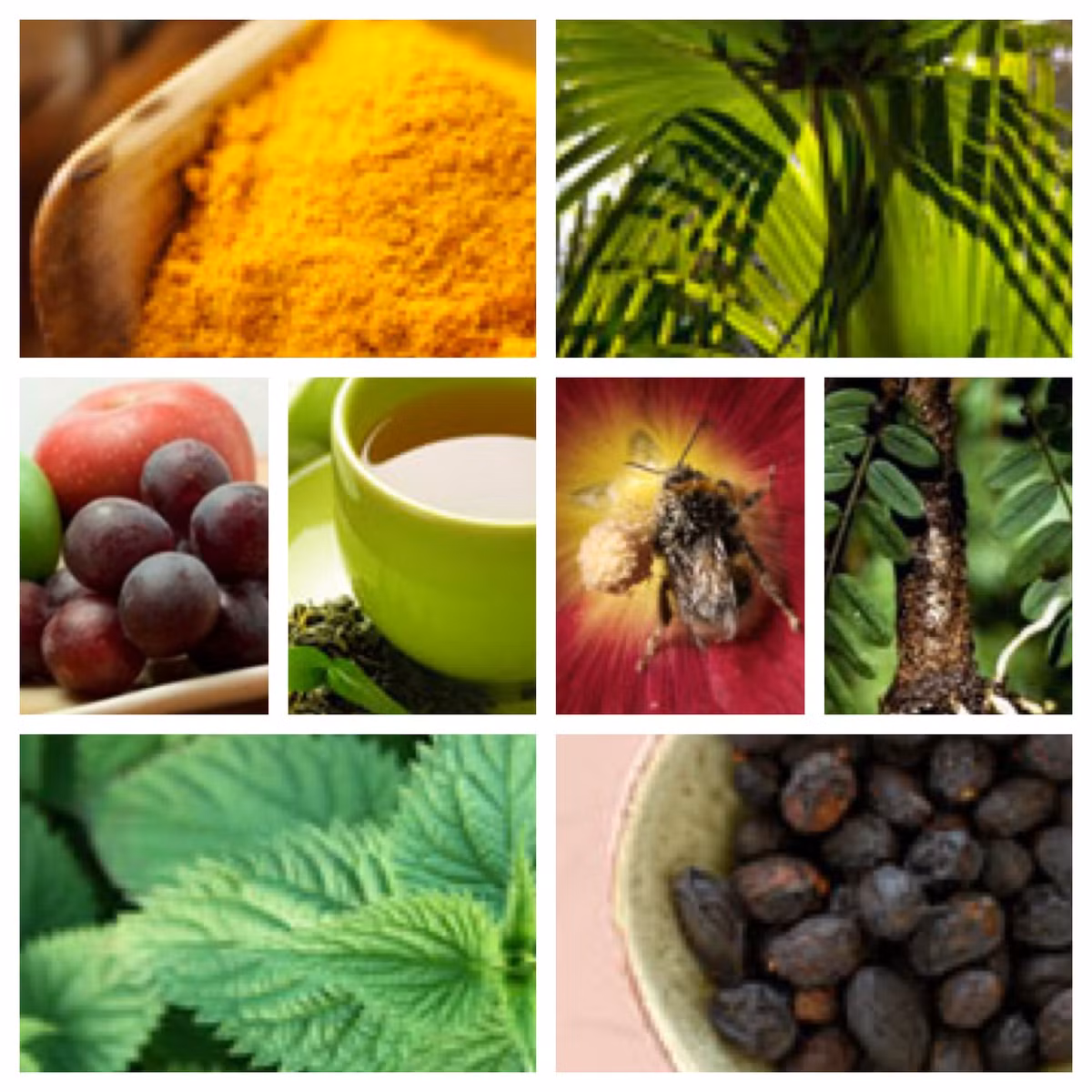 3. Hãy bổ sung sức khỏe tối đa cho tuyến tiền liệt. Cùng với một chế độ ăn uống dinh dưỡng, hãy uống các loại thuốc bổ tự nhiên giúp duy trì tuyến tiền liệt khỏe mạnh. Điều này cũng đồng nghĩa với việc ngăn chặn sự phát triển của tuyến tiền liệt và viêm tuyến tiền liệt - hai điều kiện khiến đàn ông có nguy cơ bị ung thư tuyến tiền liệt. Đừng đợi cho đến khi bạn thấy xuất hiện những triệu chứng của các vấn đề tuyến tiền liệt như viêm tiết niệu, tiểu tiện nhiều lần, hoặc đau vùng xương chậu. Phòng ngừa là cách điều trị tốt nhất!