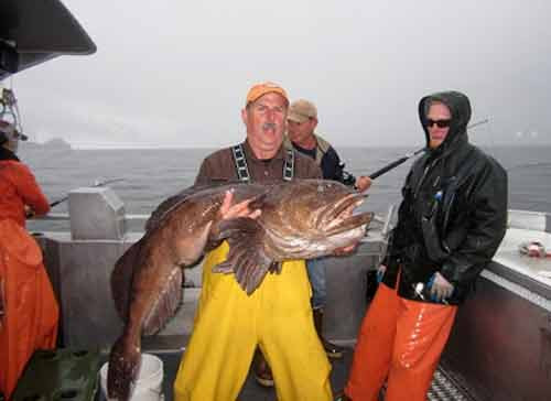 Con cá da trơn được cần thủ này săn được ở Atlanka, Mỹ.