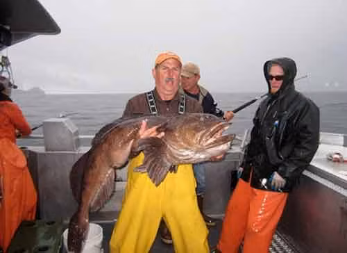 Con cá da trơn được cần thủ này săn được ở Atlanka, Mỹ.